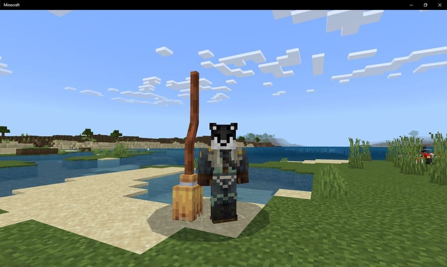 Волшебная метла