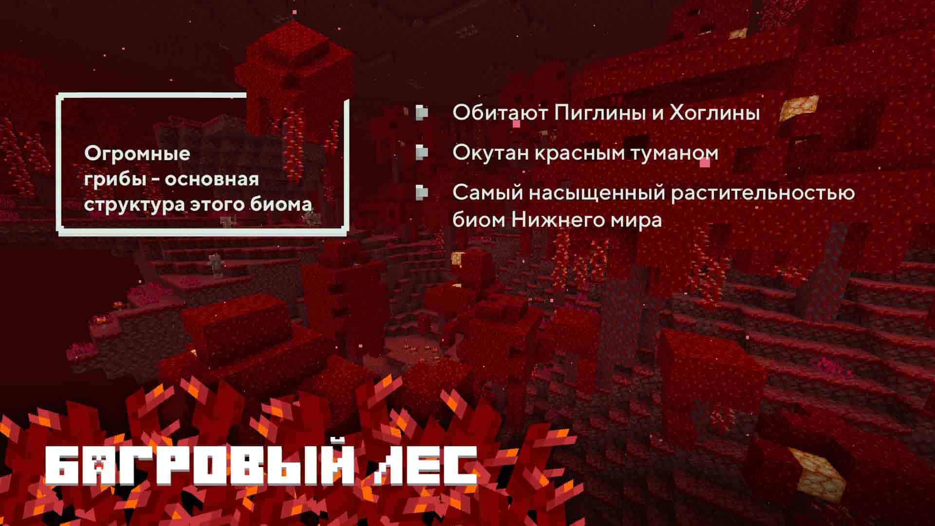 Описание Багрового леса