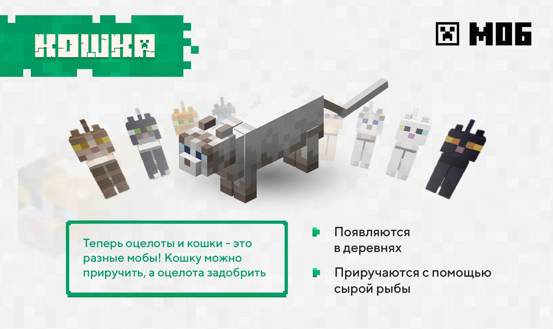 Добавили котов в игру