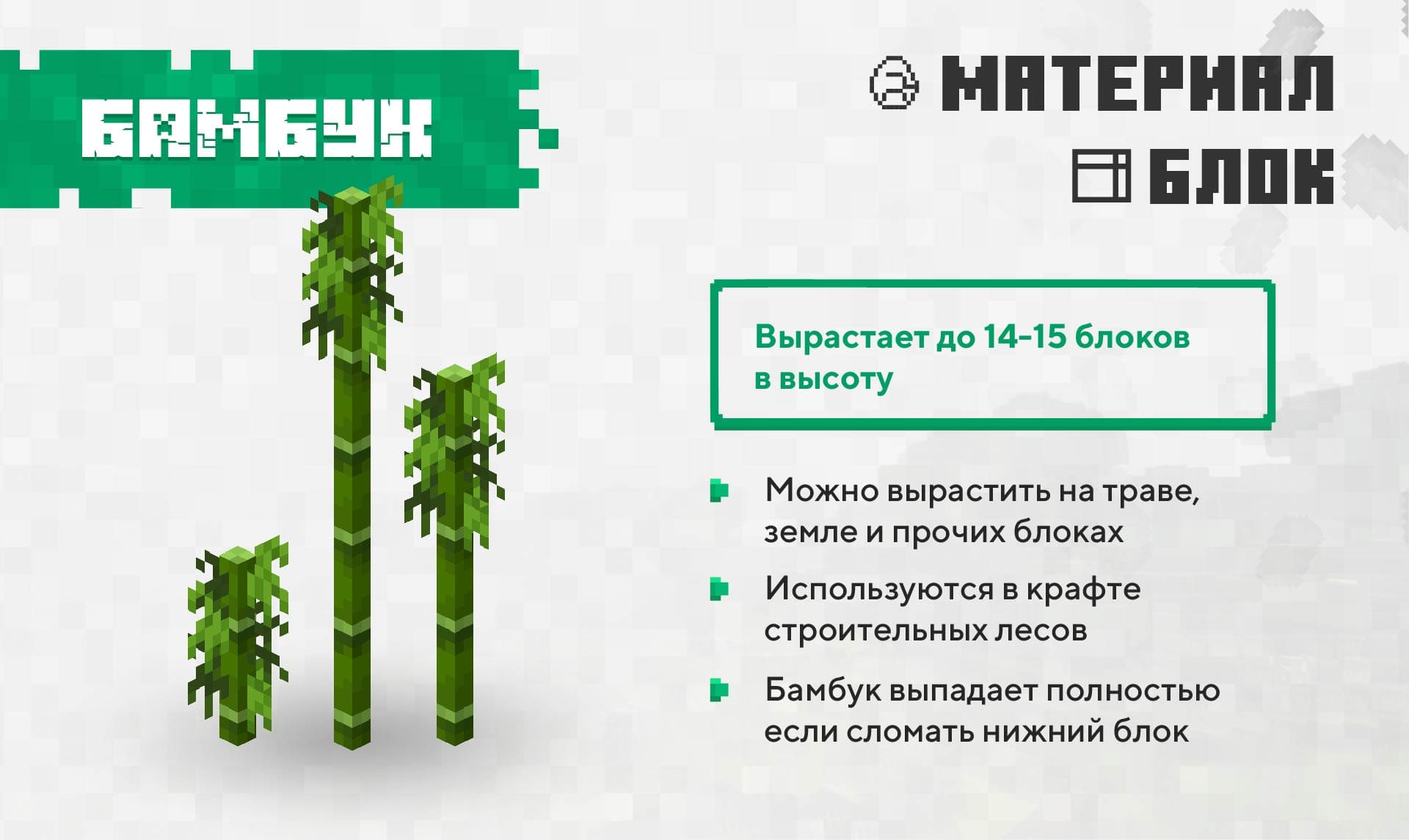 Стадии роста бамбука и описание