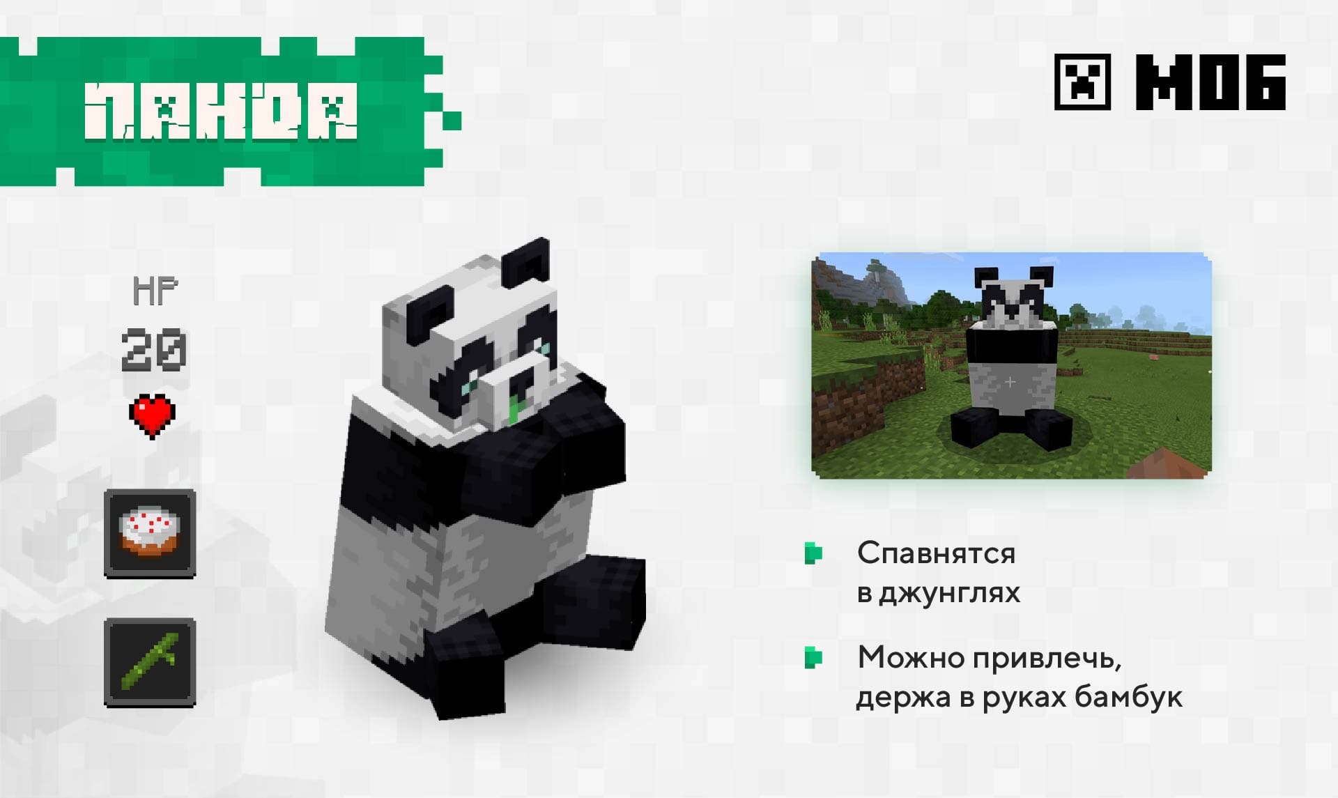 Описание и изображение панды