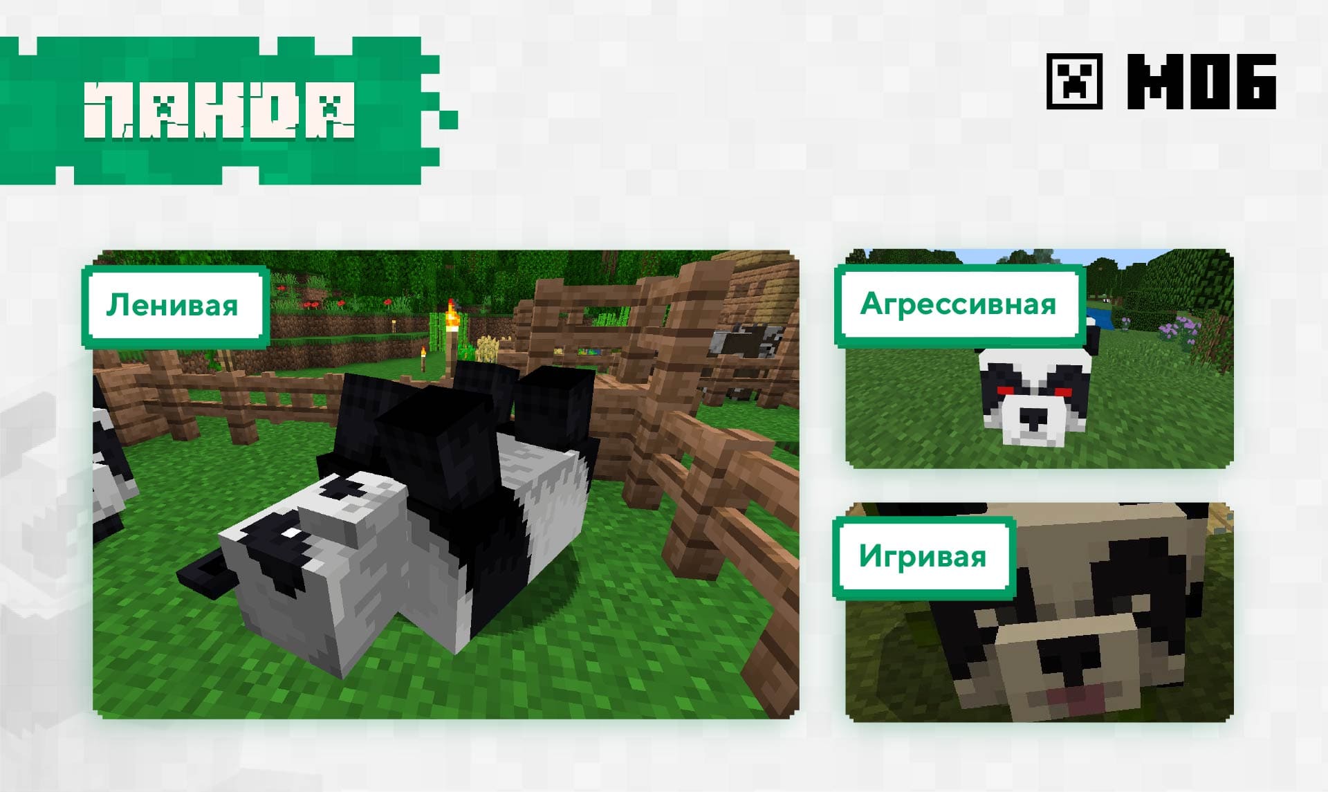 Три основных вида панд