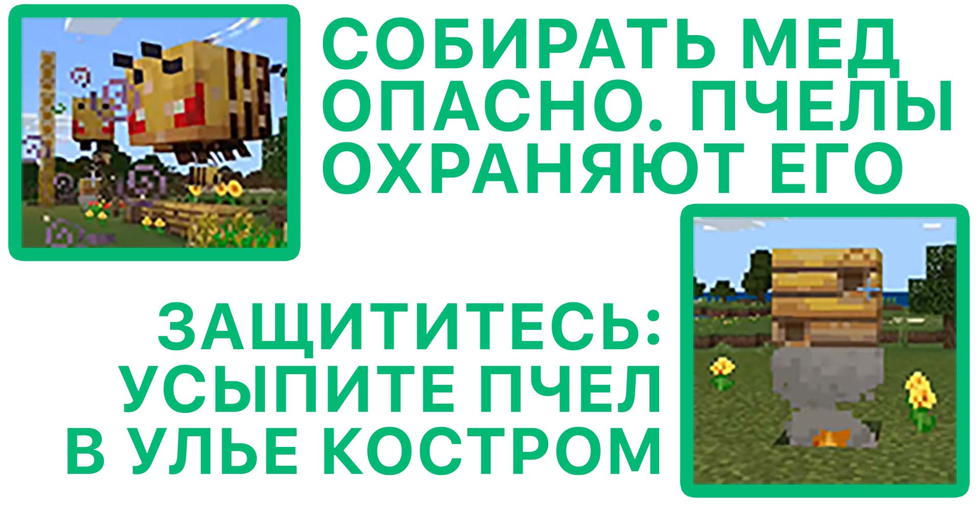 Как собрать мед