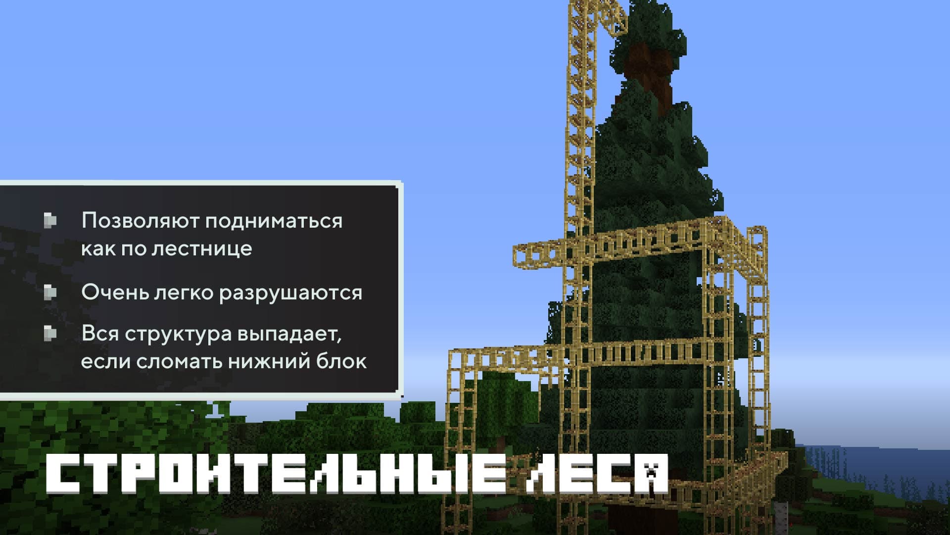 Описание строительных лесов