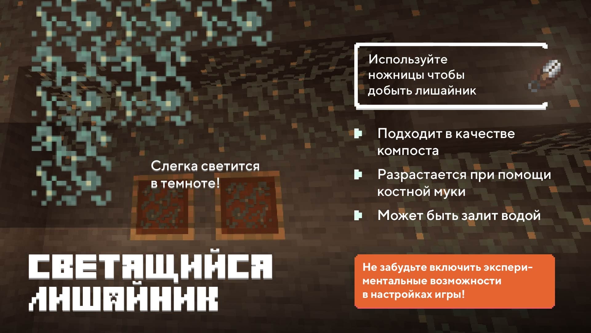 Описание Светящегося лишайника. Слегка светится в темноте.