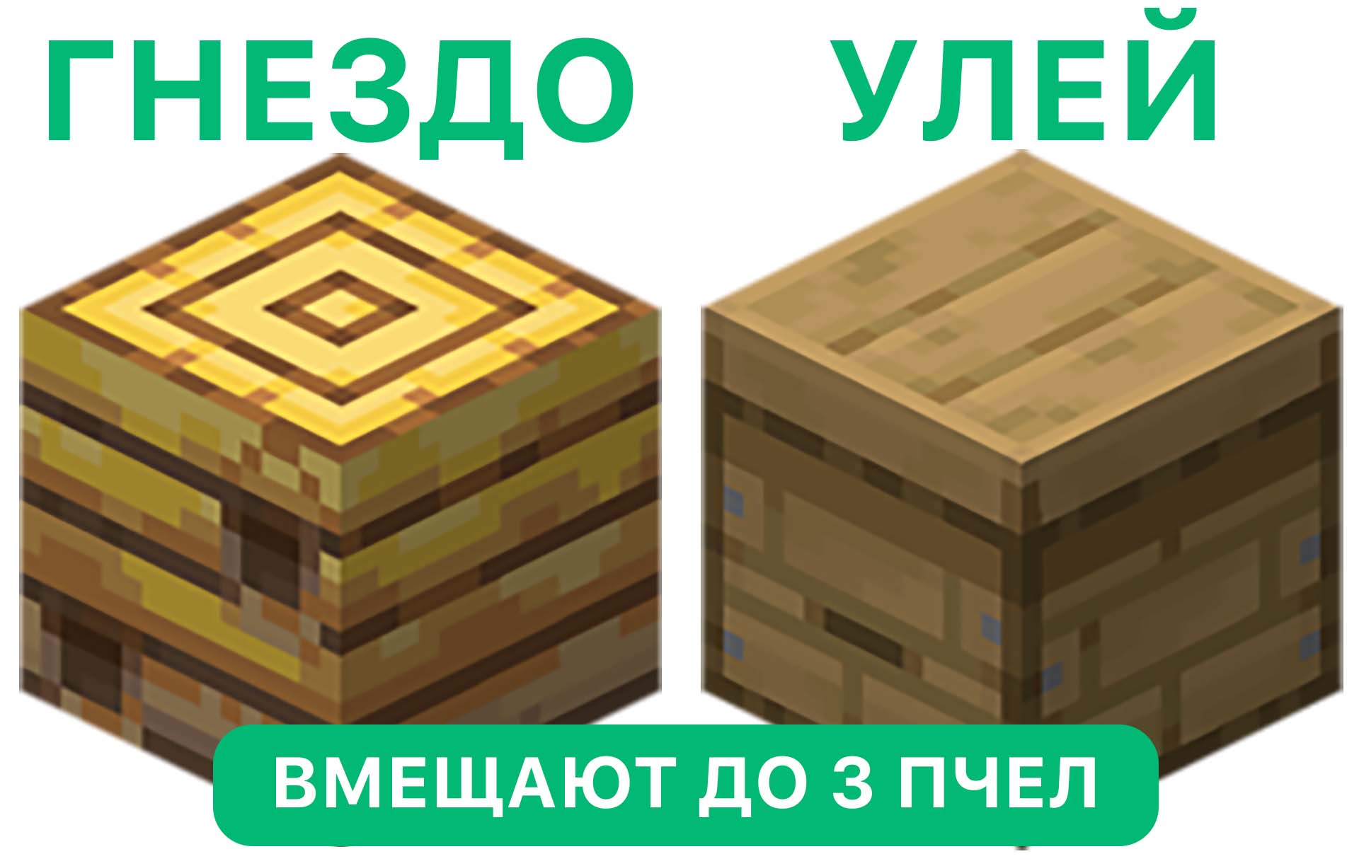 Улей и гнездо. Вмещаемое количество пчел